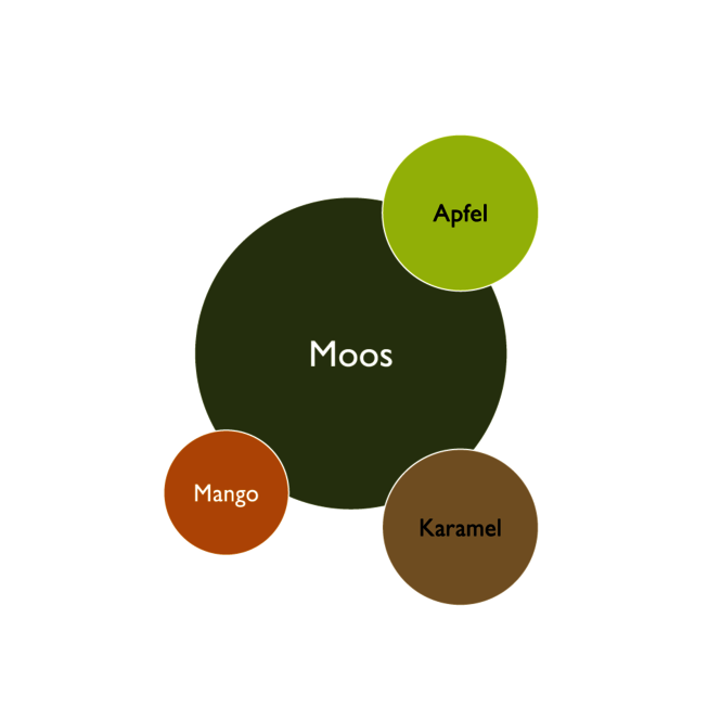 Farbkreis der Kernfarben in der Moospolster Wohnidee - Moos, Apfel, Mango, Karamell.