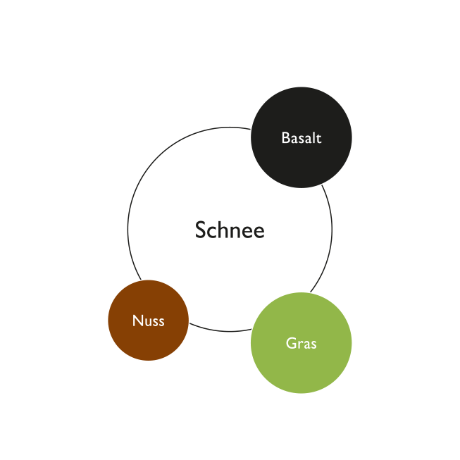 Farbkreis der Kernfarben in der Kontrastreich Wohnidee - Schnee, Basalt, Nuss, Gras.